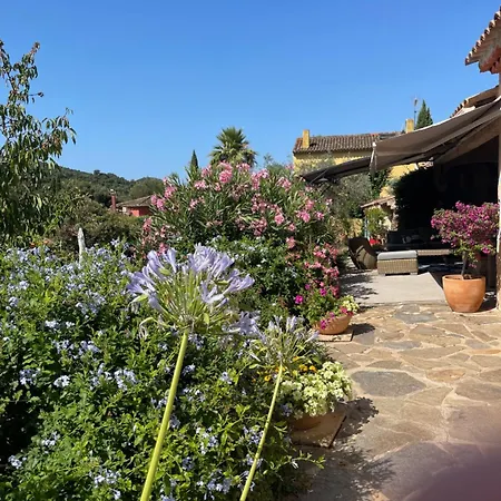 La Borreliane Hyeres